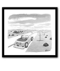 Chas. Adams, Charles Adams, The Adams Family, New Yorker cartoon