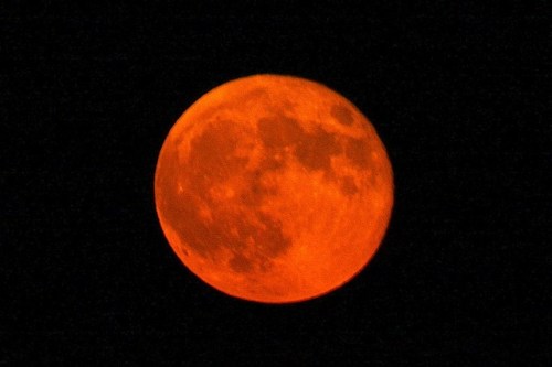 BIG Orange Moon rising moon, red moon, orange moon, planters moon, flower moon, peony moon,