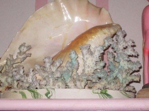 sea shell, Florida kitsch, coral, sea shell light