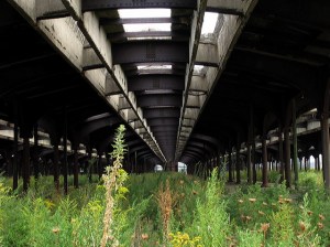 Under a Pier Under the Boardwalk