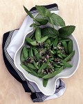 Martha Stewart living, fresh mint leaves, 
