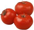 Jersey tomatoes