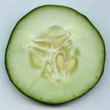 household hints, shoe polisher, stainless steel cleaner, breath freshener, B vitamins