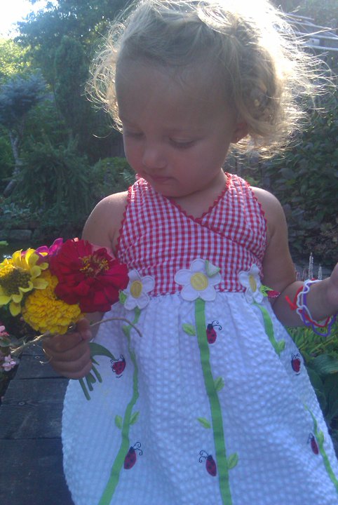 bouquet of zinnias, ladybug dress, Finny, Finley ray Clark, 2nd Annual Boston garden party