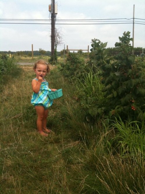 West Hampton, raspberries, Finny, Finley Ray Clark