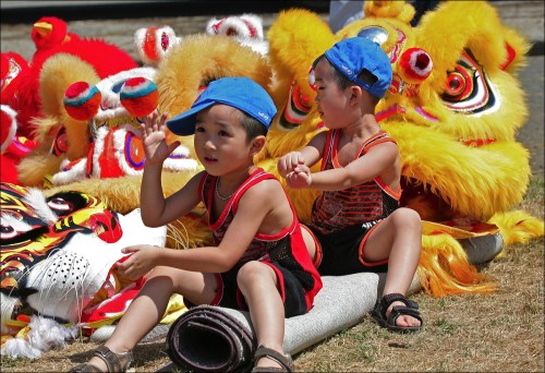 Chinese dragon boat race, blue baseball caps, twins, tiger