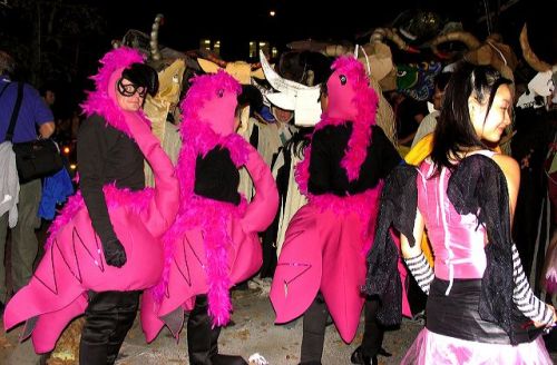 pink flamingos, greenwich village halloween parade, Murray Head