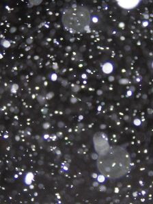 La Vie en Rose, front porch, 