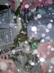 La Vie en Rose, Ocean Grove, front porch