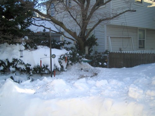 Ocean Grove, bird seed, La Vie en Rose, bird feeder, blizzard