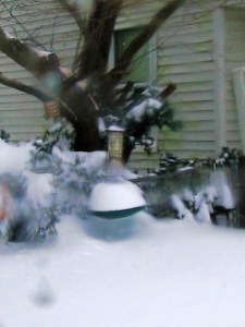 Dec 27 backyard 10 am bird feeder, snow drifts,December 27th