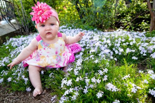 This is not a bed of roses Frankie, Francesca, Carl Shurtz park