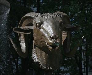 HOS close up of big ram