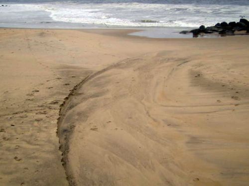 beach erosion, Ocean Grove, Hurricane Irene