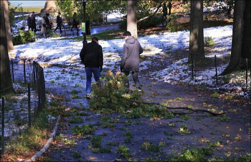 new york, central park, October 29th snow storm