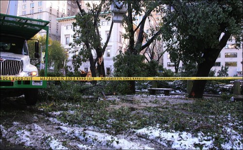 Oct 29th snow storm, New York City, Central Park