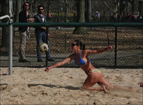 Central Park, New York city, volley ball