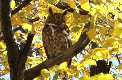 "NO, I don't like having my picture taken"!