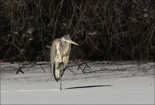 "Well, I certainly didn't expect this"