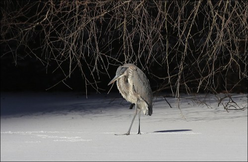 "Maybe I should go back"