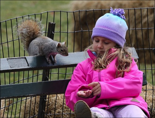 "It's right here, can't you see it"?