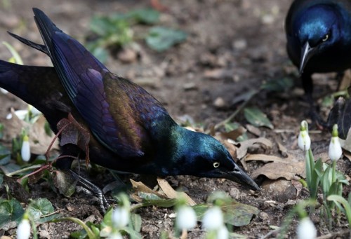 Nature's Gradient Colors