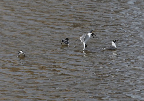 You Better Take Off!