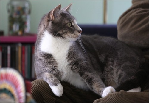 What's Going On Over There?