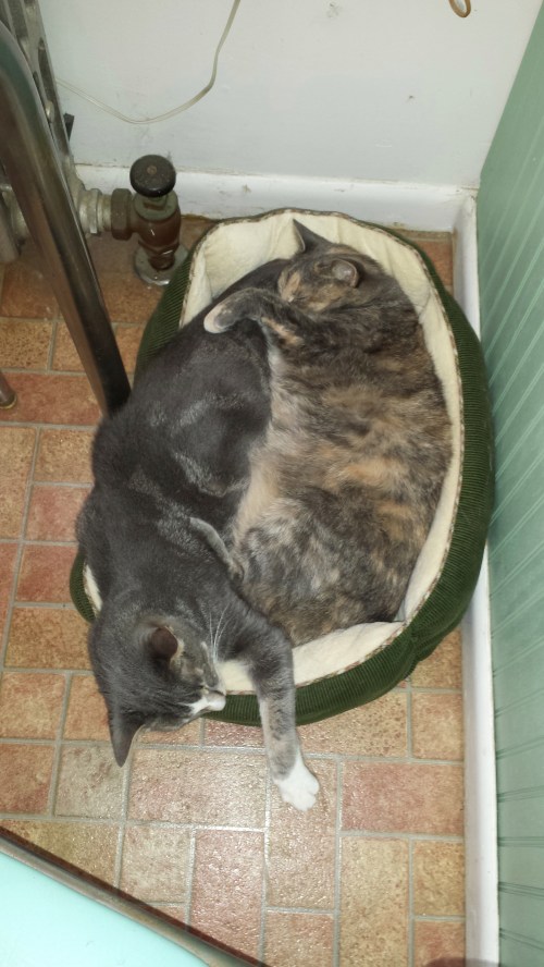 Actually Nora Decided To Sleep With Nicky