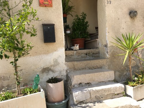 8C097780-0B93-436B-A5C7-03D238AC7496