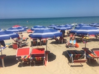 C5FE9B2A-562A-4856-954C-64359D0E3651